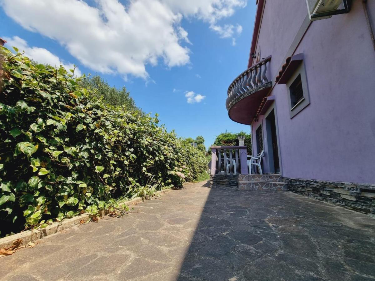 Apartmani Nika Bibinje Eksteriør billede